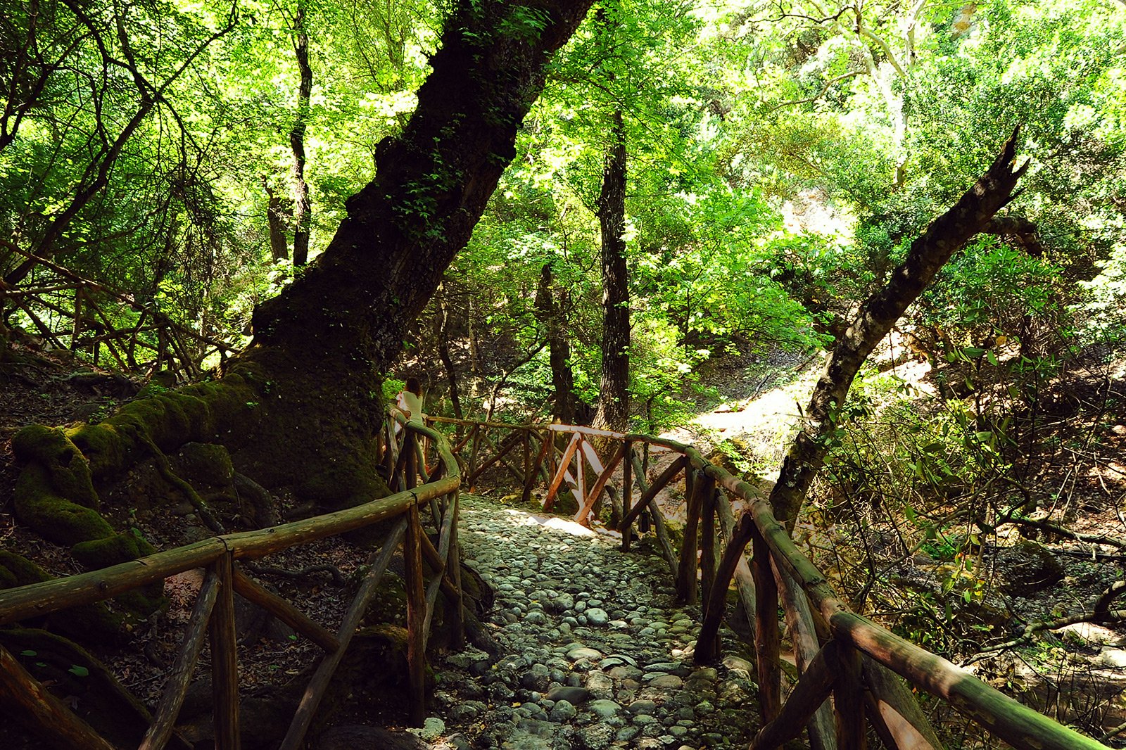 The Valley of the Butterflies, Rhodes