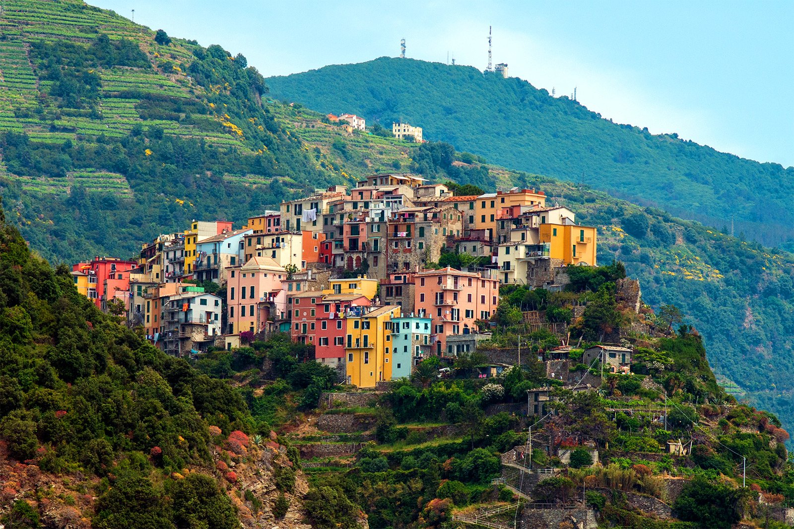 Corniglia, Genoa