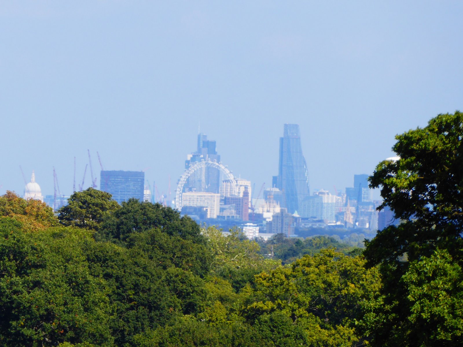 Richmond Park, London