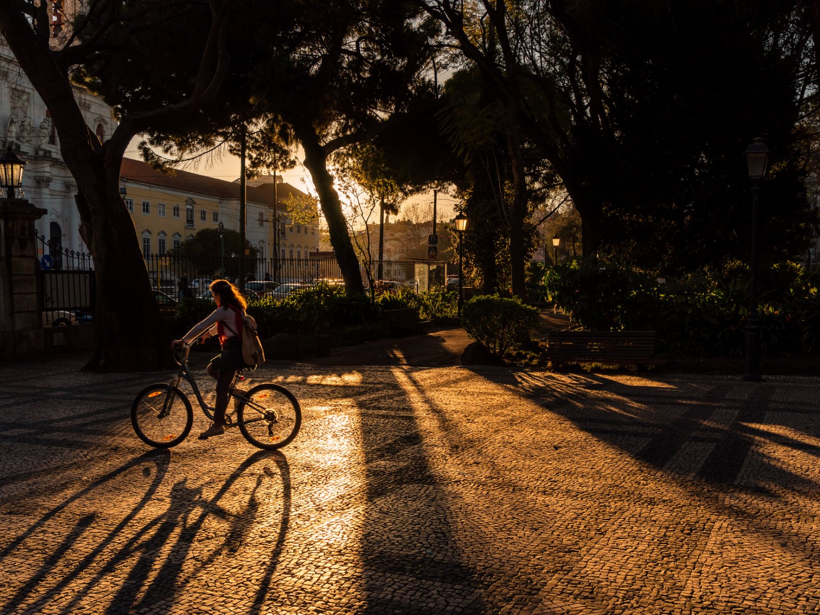 The garden nearby Basilica da Estrela, Lisbon