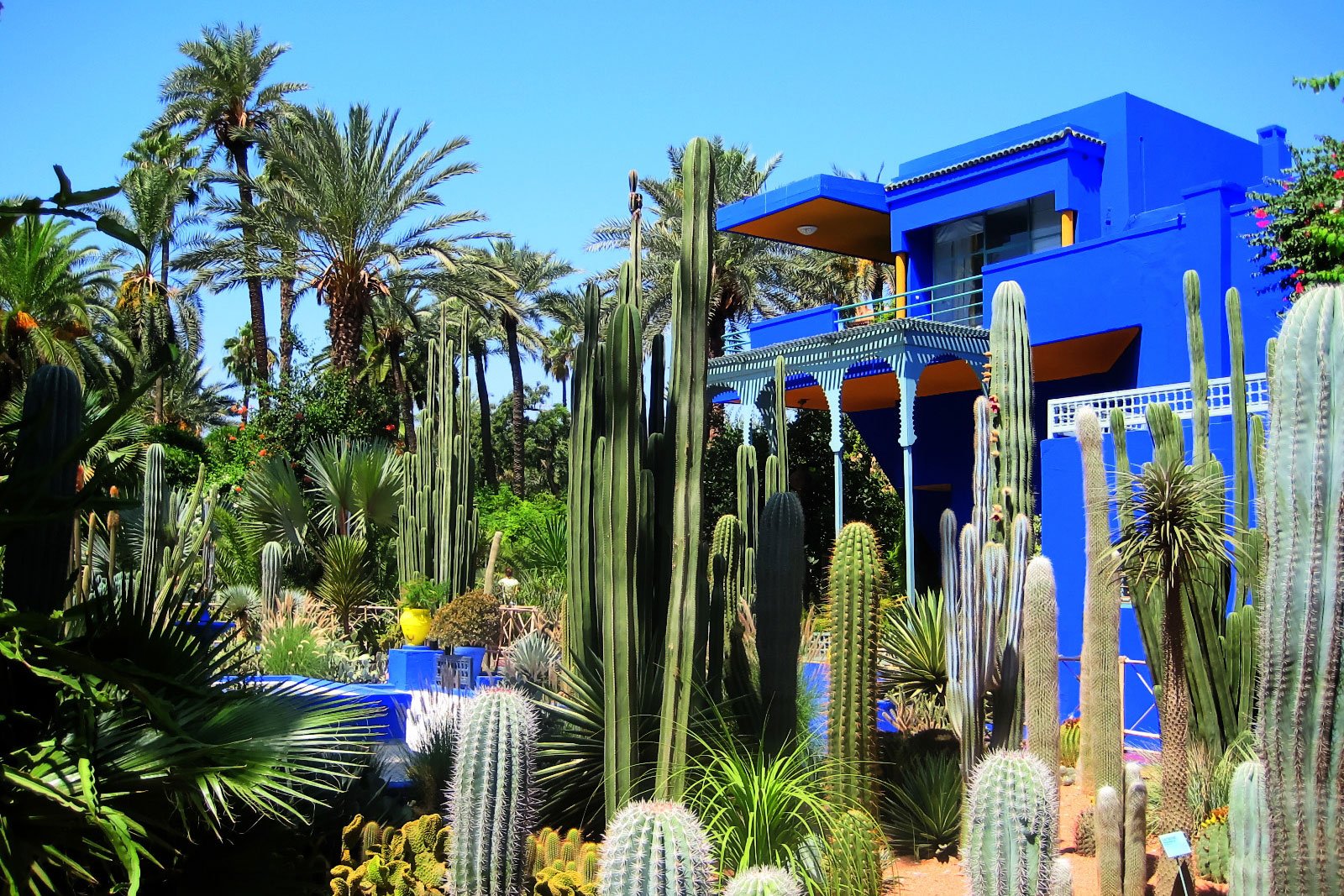 Majorelle Garden, Marrakesh