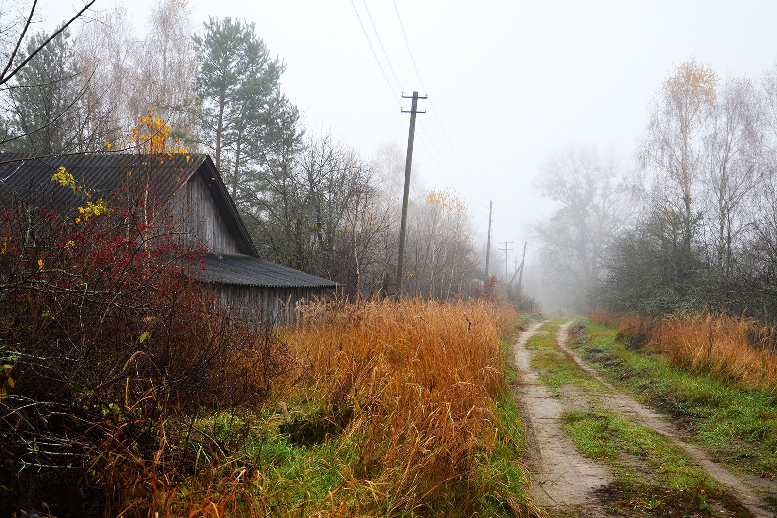 Exclusion Zone, Chernobyl