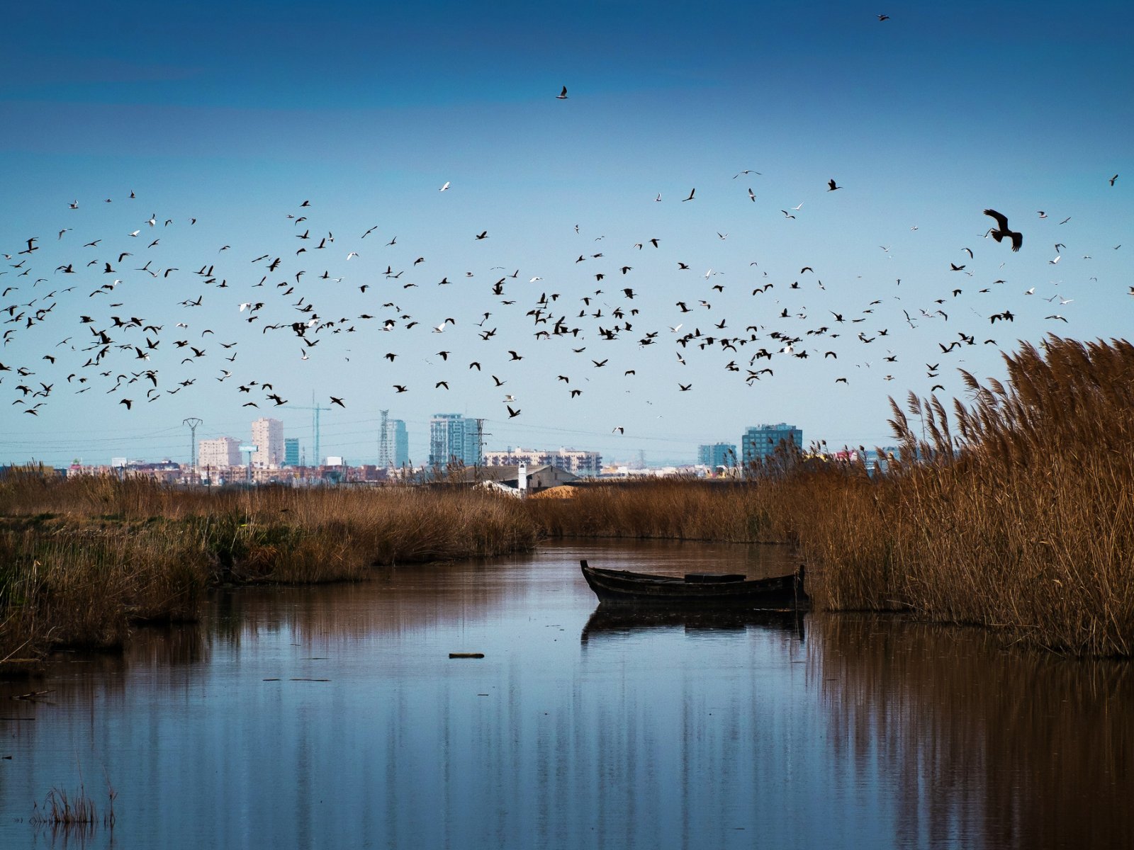 Parque Natural de la Albufera, Valencia