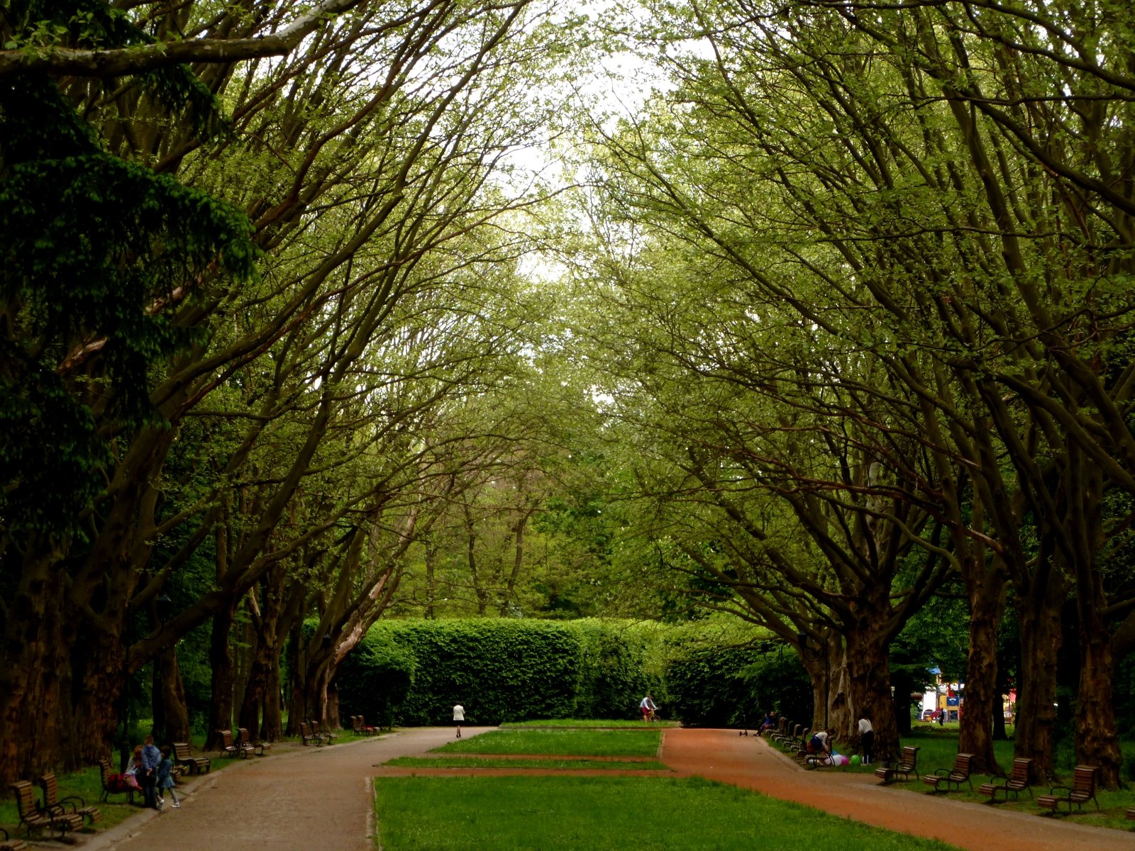 Park of culture and recreation named after Bohdan Khmelnytsky, Lviv