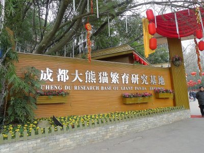 Chengdu Research Base of Giant Panda Breeding