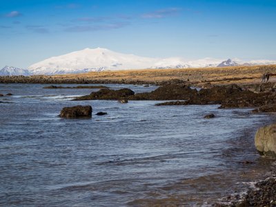 Ytri-Tunga Beach