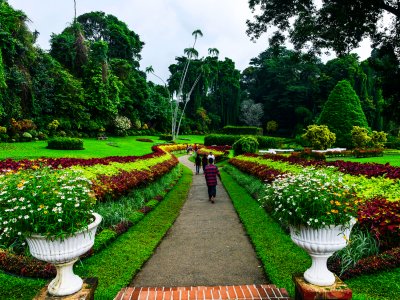 Royal Botanic Gardens