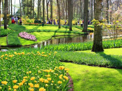 Park Keukenhof