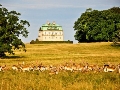 Dyrehaven Deer Park