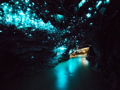 Waitomo caves