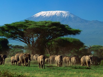 Kilimanjaro National Park