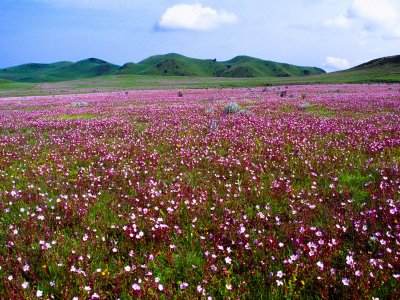 Kitulo National Park