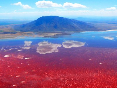 Lake Natron