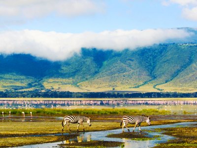 Ngorongoro conservation area