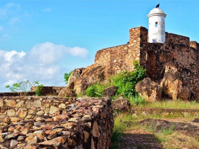 Fortin El Zamuro