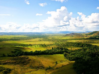 Los Llanos