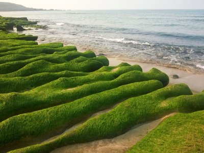 Laomei Green Reef