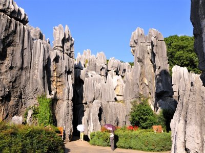 Naigu Stone Forest