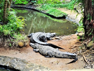 La Vanille Nature park