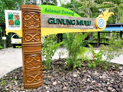 Gunung Mulu National Park