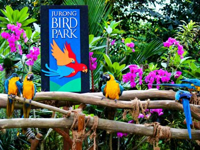 Jurong Bird Park