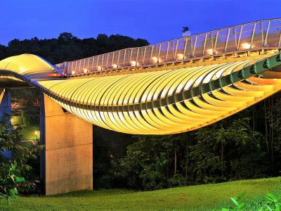 Henderson Waves Bridge