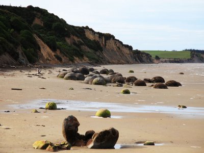 Koekohe beach