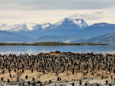 Beagle Channel