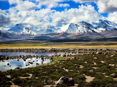 Lauca National Park