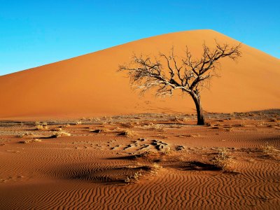 The Namib Desert