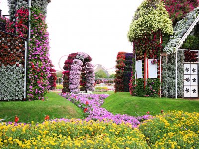 Dubai Miracle Garden in Dubai