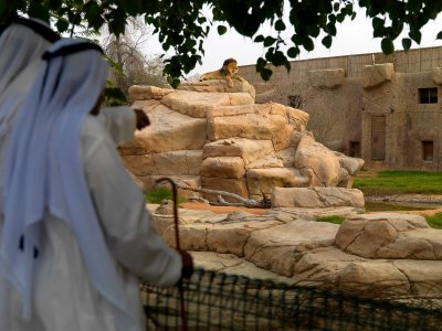 Al Ain Zoo in Al Ain