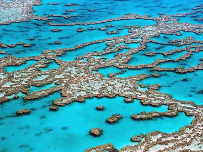 Great Barrier Reef in Cairns