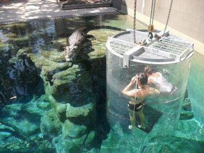 Crocosaurus Cove in Darwin