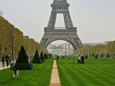 Champ de Mars in Paris