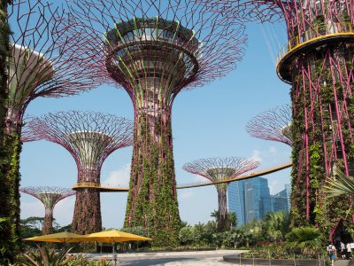 Gardens by the Bay in Singapore