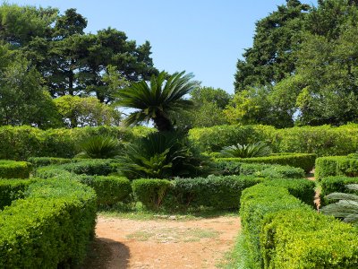 Botanical Garden in Dubrovnik