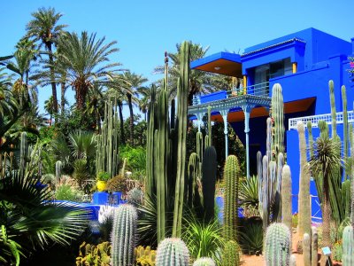 Majorelle Garden in Marrakesh