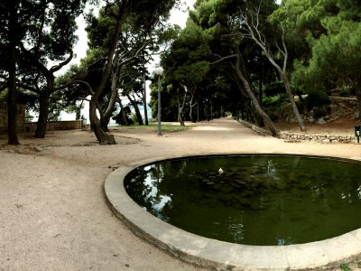 Gradac Park in Dubrovnik