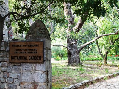 The Botanical Garden in Dubrovnik