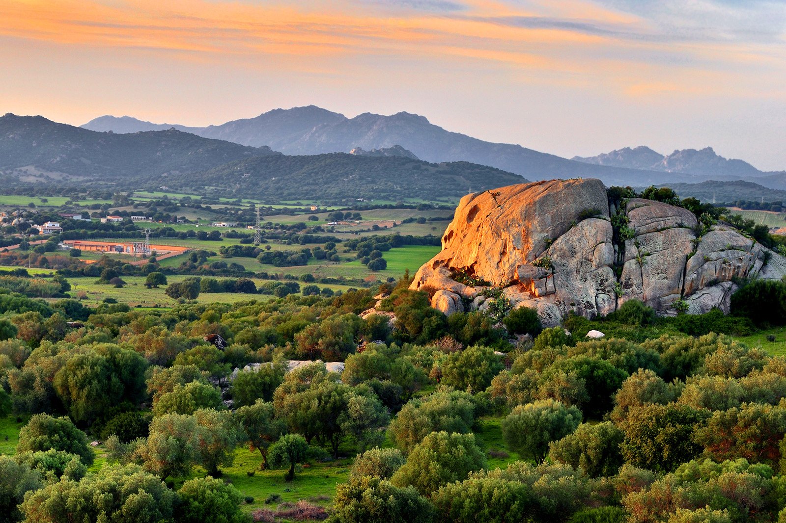 Sardinia: things to do & places to visit | Oddviser