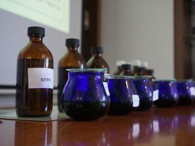 Cretan Olive Oil Tasting - PRO mini seminar
